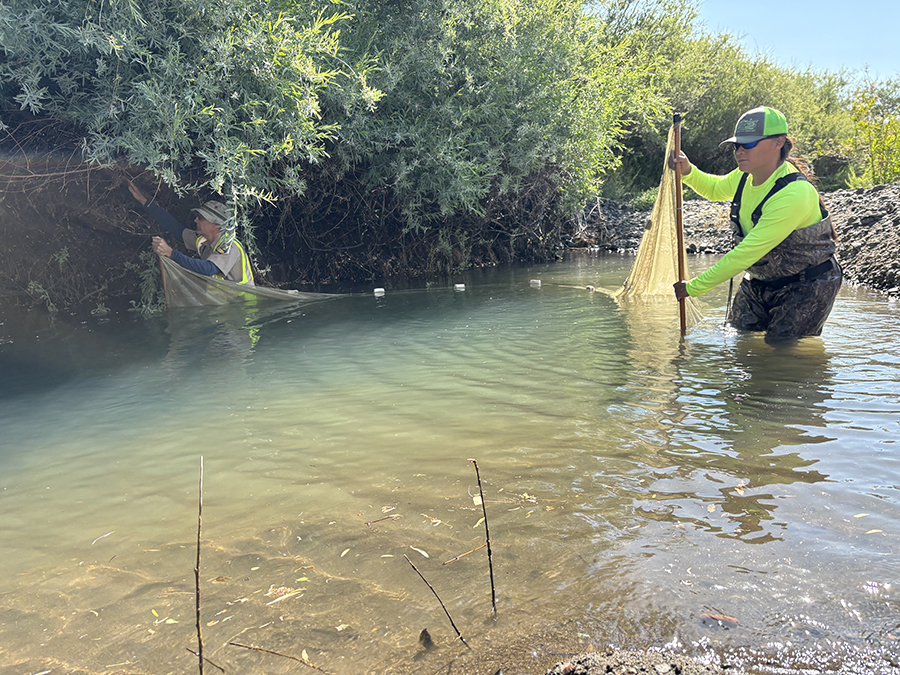 People with net across creek. CDFW photo